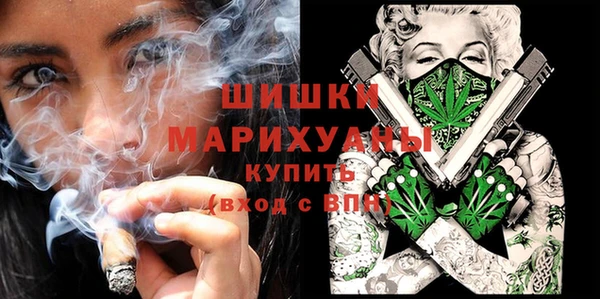 ПСИЛОЦИБИНОВЫЕ ГРИБЫ Инсар