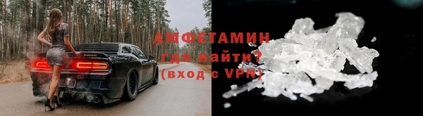 ПСИЛОЦИБИНОВЫЕ ГРИБЫ Инсар