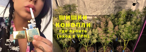 ПСИЛОЦИБИНОВЫЕ ГРИБЫ Инсар
