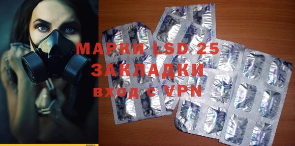ПСИЛОЦИБИНОВЫЕ ГРИБЫ Инсар