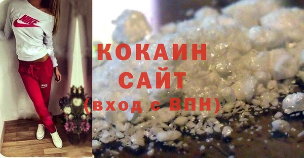 ПСИЛОЦИБИНОВЫЕ ГРИБЫ Инсар