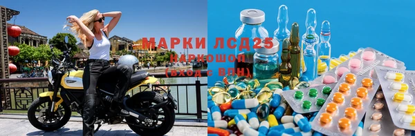 ПСИЛОЦИБИНОВЫЕ ГРИБЫ Инсар