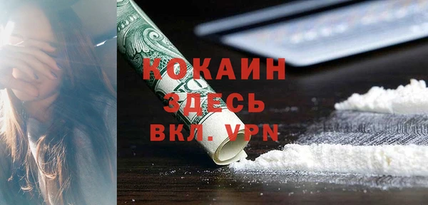 ПСИЛОЦИБИНОВЫЕ ГРИБЫ Инсар