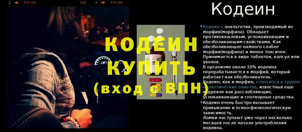 ПСИЛОЦИБИНОВЫЕ ГРИБЫ Инсар