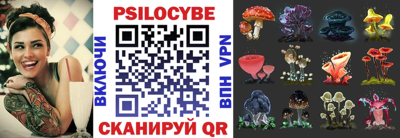 Псилоцибиновые грибы прущие грибы  Купить где  Дюртюли 