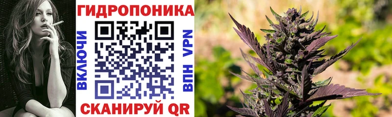 Купить  Дюртюли  Канабис Bruce Banner 